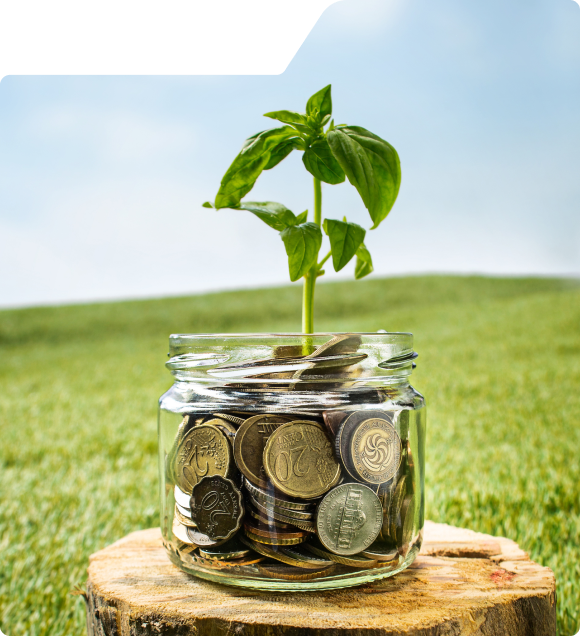 About Century Stocks